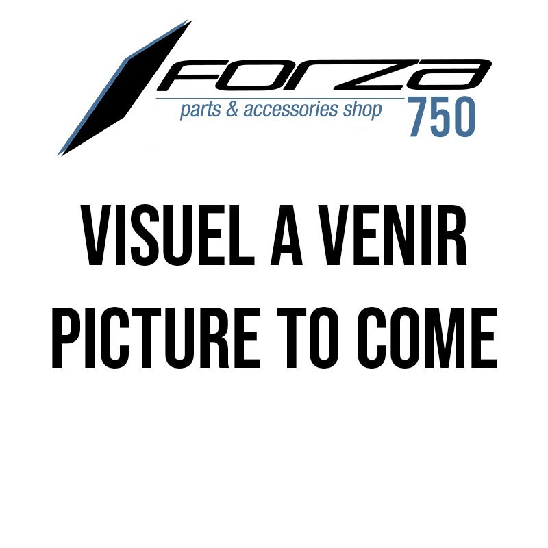 22587N + 9457N : Puig Kennzeichenhalter Honda Forza 750